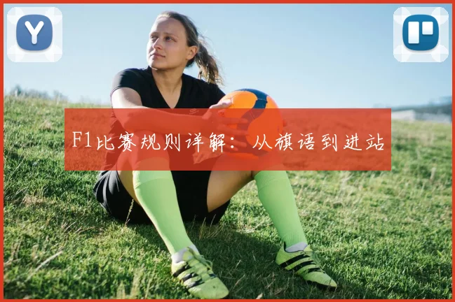 F1比赛规则详解：从旗语到进站