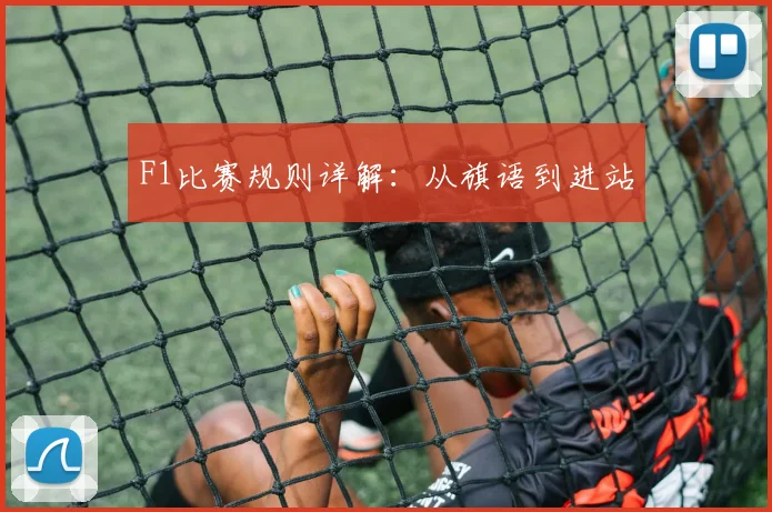 F1比赛规则详解：从旗语到进站